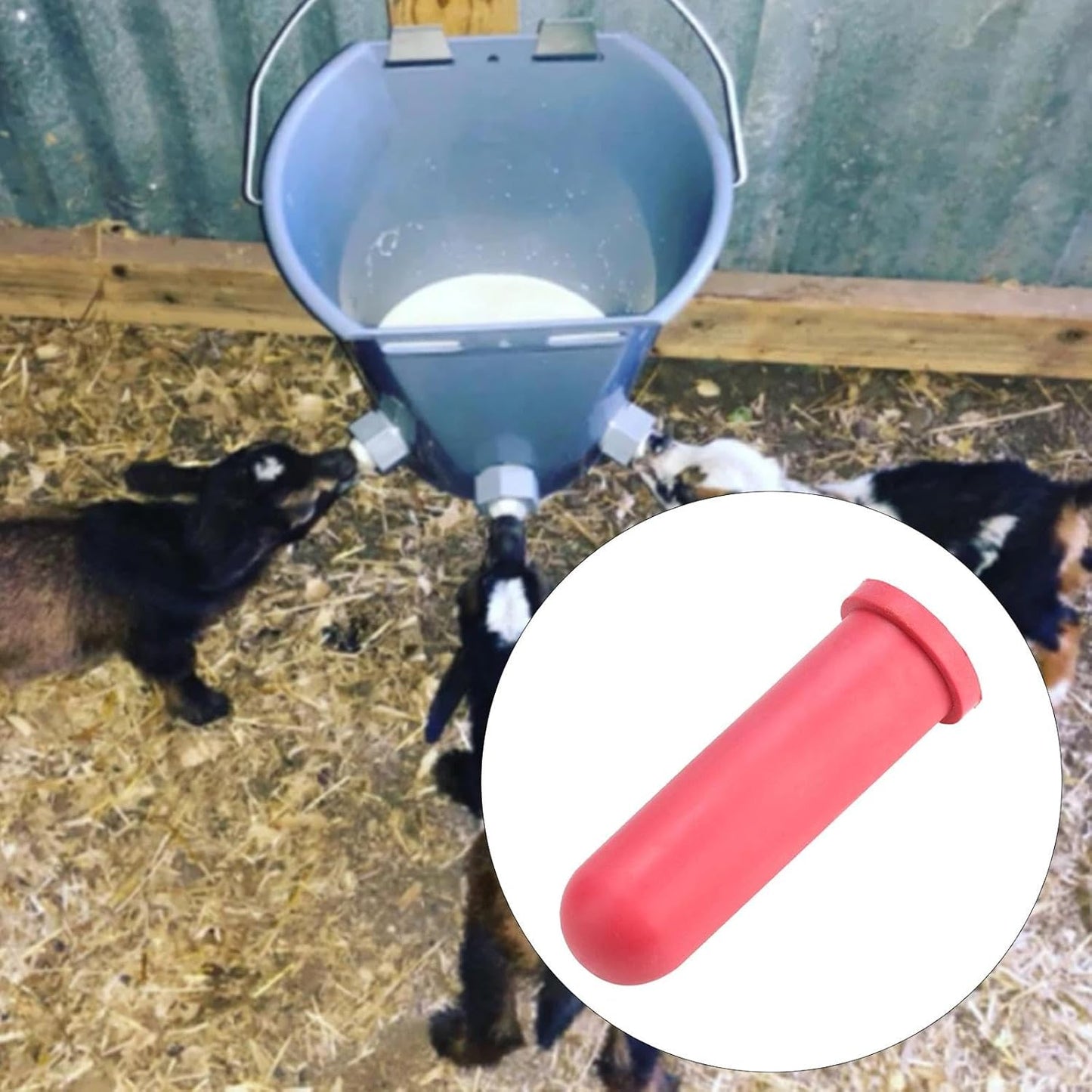 Calf Feeder Pacifier Drink Nipple Soft Feeding Teat Food Grade for Horse Farm Animals