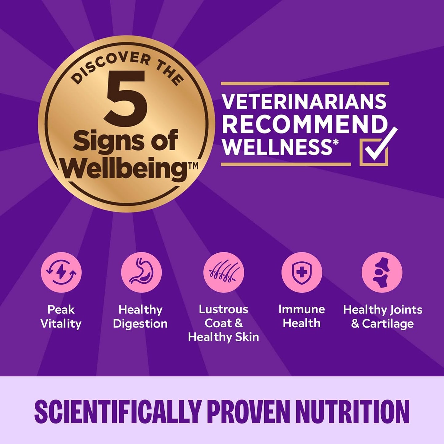 Wellness Complete Health Grilled, Adult Wet Cat Food, Natural, Protein-Rich, Grain-Free, Canned, 3 Ounce, 12 Pack, (Tuna, Mackerel & Shrimp Entrée Recipe)