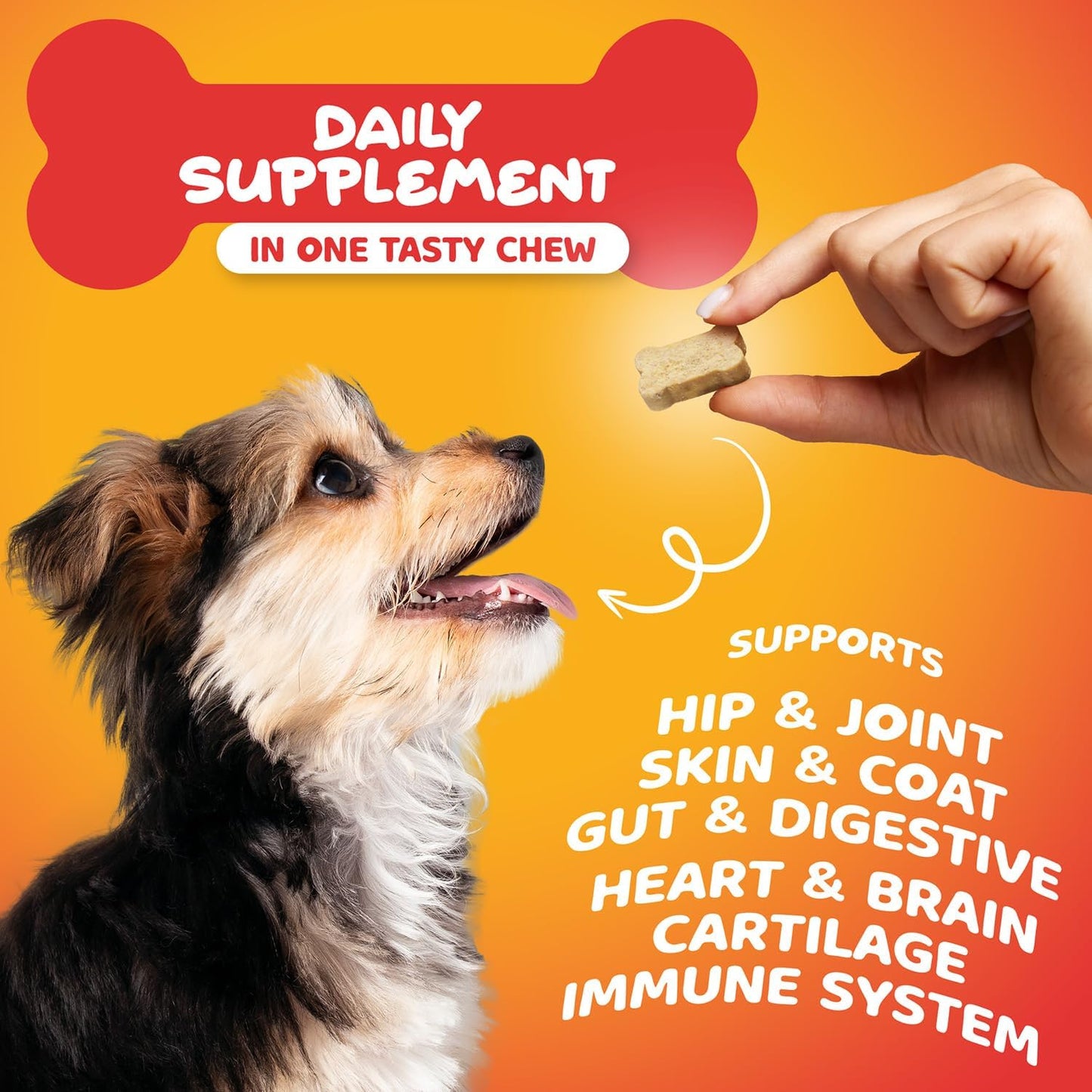 Dog Vitamins and Supplements, 20-in-1 Multivitamin Treats for Dogs - Glucosamine, Probiotics, Wild Alaskan Salmon Oil, Chondroitin, MSM & More - Bacon Flavor - 90 Count