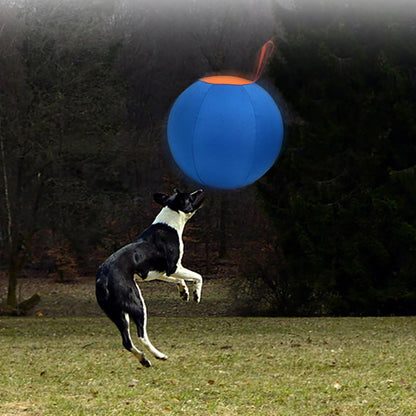 Dogs Herding Ball Toy Physical Activity Outdoor Inflatable Herding Pet Mouth Training Horse Balloon Horse Ball Thrower