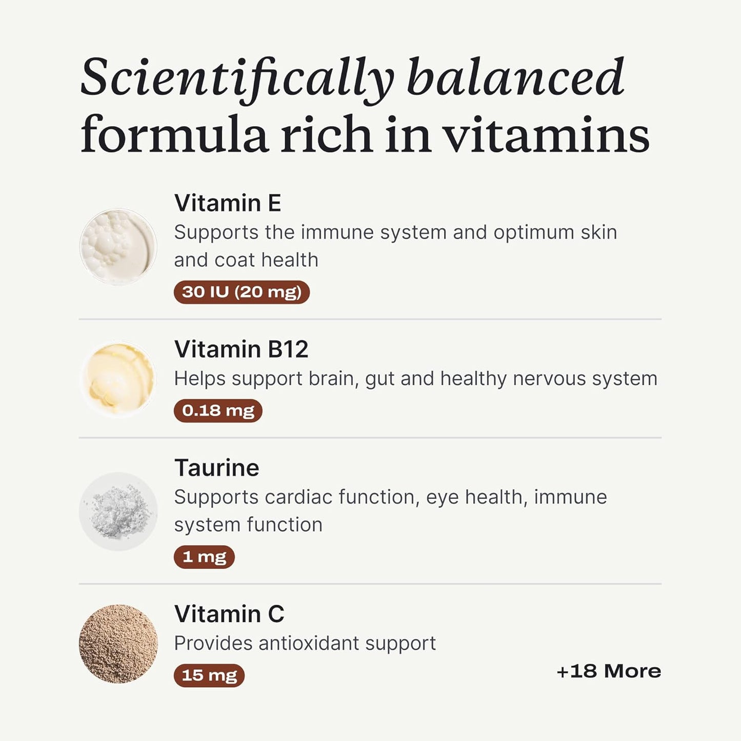 PetLab Co. 22 in 1 Dog Multivitamin - Support Dog's Immune Response, Skin, Coat, Joints & Overall Health - Vitamins A, E, D, B12, Minerals, Antioxidants - Chewable Pork Flavor - Packaging May Vary