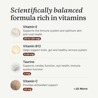 PetLab Co. 22 in 1 Dog Multivitamin - Support Dog's Immune Response, Skin, Coat, Joints & Overall Health - Vitamins A, E, D, B12, Minerals, Antioxidants - Chewable Pork Flavor - Packaging May Vary