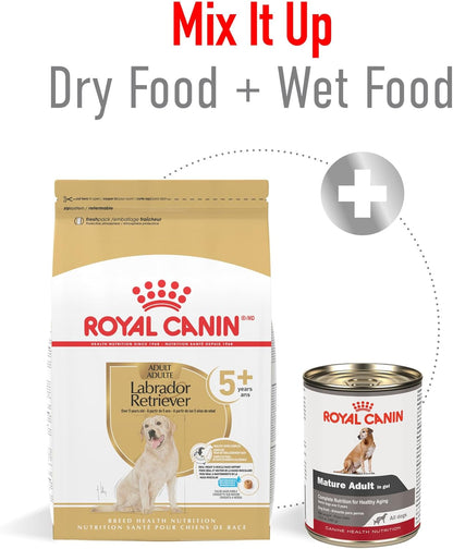 Royal Canin Breed Health Nutrition Labrador Retriever 5+ Mature Dry Dog Food, 28 lb Bag
