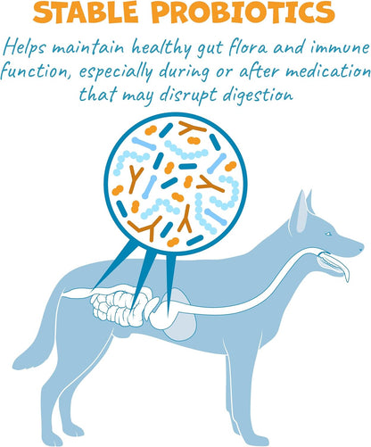 Flavor-Doh with Dog Probiotics - Flavored Pill Wrap for Dogs to Hide Capsules and Shape into Pill Pocket Treats for Dogs - Easy-to-Use Treat Paste for Pet Medicine - Savory Bacon (4.2oz)