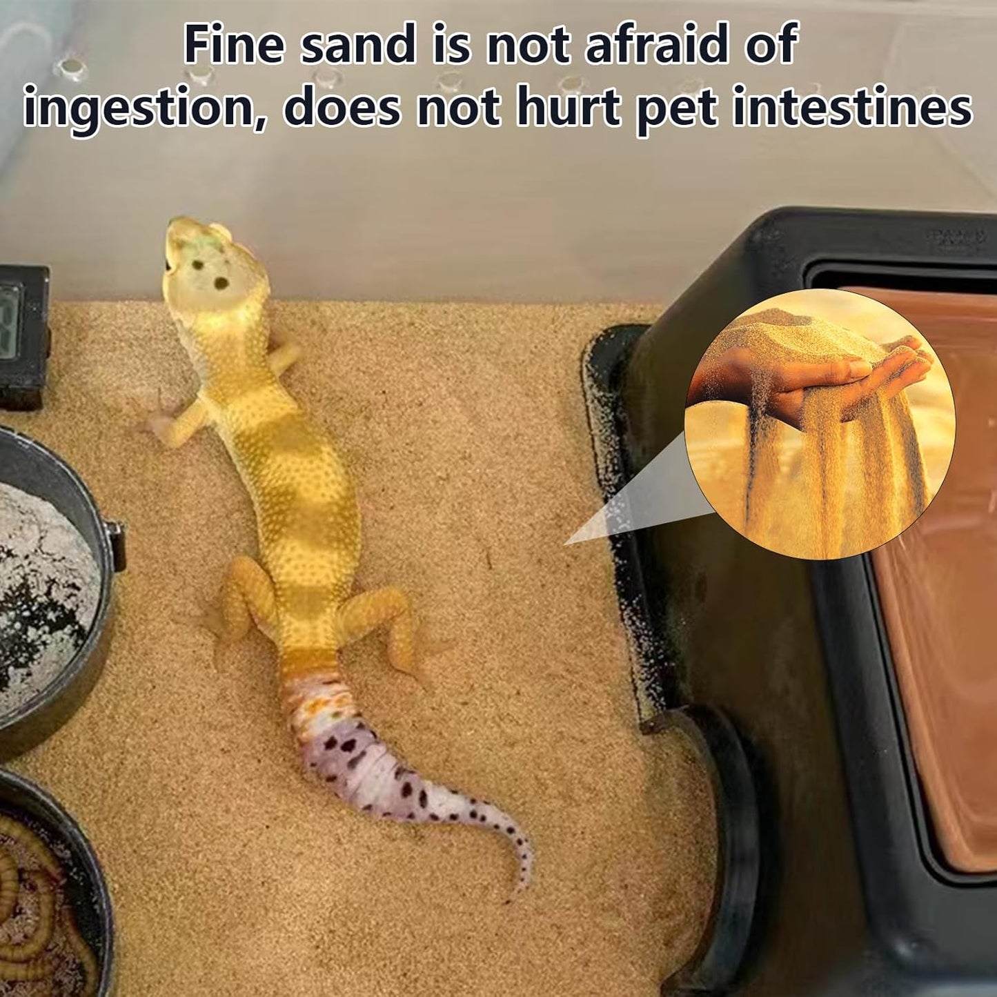 BNOSDM Reptile Sand Bearded Dragons Substrate Sands Lizard Terrarium Bedding Desert Blend for Snakes Geckos Chameleon Tortoise Frogs Scorpion Invertebrates Amphibian 2.2lb (Yellow)