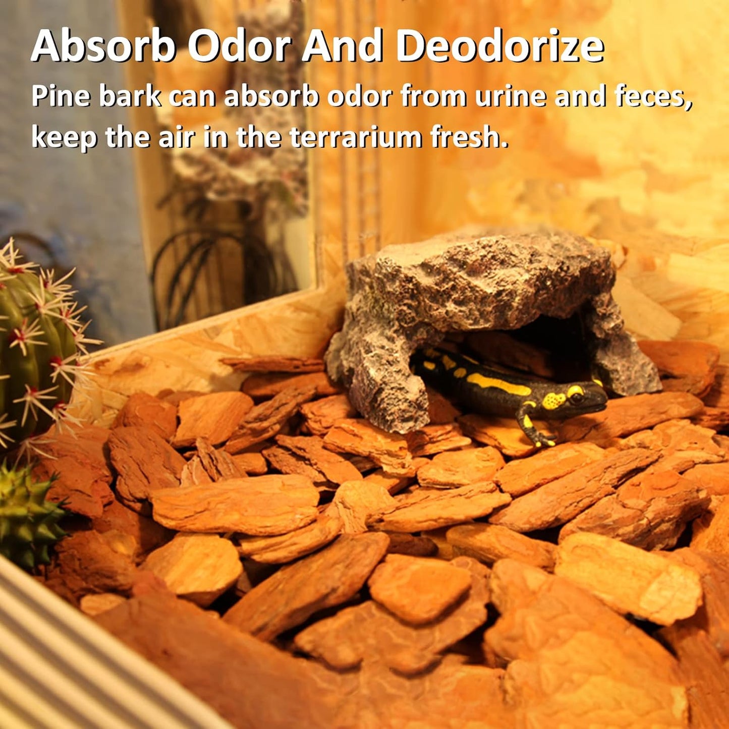 Hamiledyi 2PCS Reptile Feeding Box Snake Breeding Box Transparent Cage and Reptile Bark Bedding Tortoise Habitat Substrate Natural Terrarium Bark for Snake Spiders Bearded Dragons Hermit Crabs Geckos