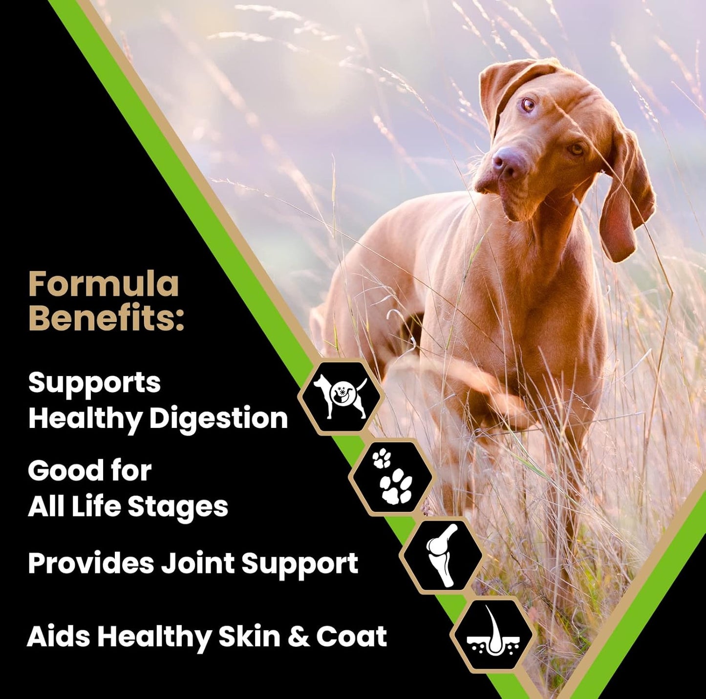 VICTOR Super Premium Dog Food – Elite Canine Dry Dog Food with Chicken & Fish Meal – 25% Protein, 14% Fat, Gluten Free – for Large Breed Dogs & Puppies, 15lbs