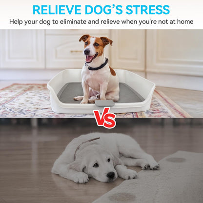 ALL FOR PAWS Dog Pee Pad Holder with Removable Post, 23.6" Indoor Dog Potty Training Tray, Puppy Toilet Litter Box for Small to Medium Sized Dogs