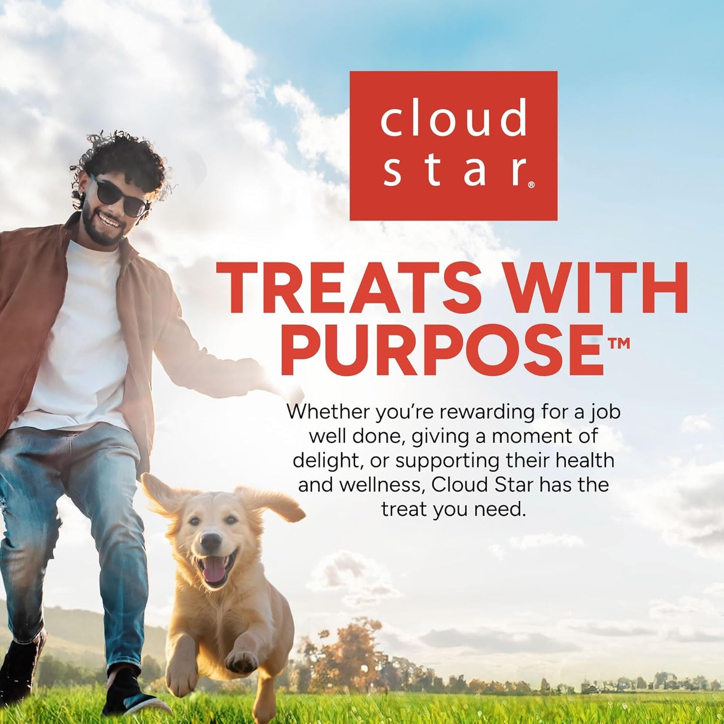 Buddy Biscuits Trainers 10 Oz. Pouch of Training Bites Soft & Chewy Dog Treats Made with Bacon Flavor