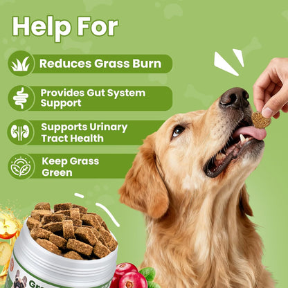 VUN Green Grass Dog Chews,Dog Urine Neutralizer for Lawn,Grass Saver Green Lawn Chews,Yellow Grass Spots&Lawn Burn,Support Urinary&Digestive with DL-Methionine,Cranberry&Probiotics-100 Soft Chews