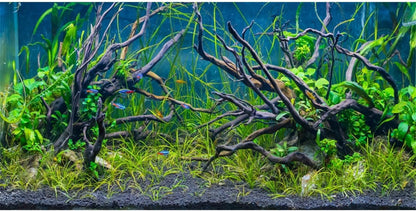 AWERT 48x24 inches Tropical Fish Tank Background River Bed & Lake Aquatic Plant Undersea Tree Branch Aquarium Background Vinyl