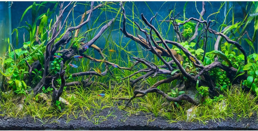 AWERT 48x24 inches Tropical Fish Tank Background River Bed & Lake Aquatic Plant Undersea Tree Branch Aquarium Background Vinyl