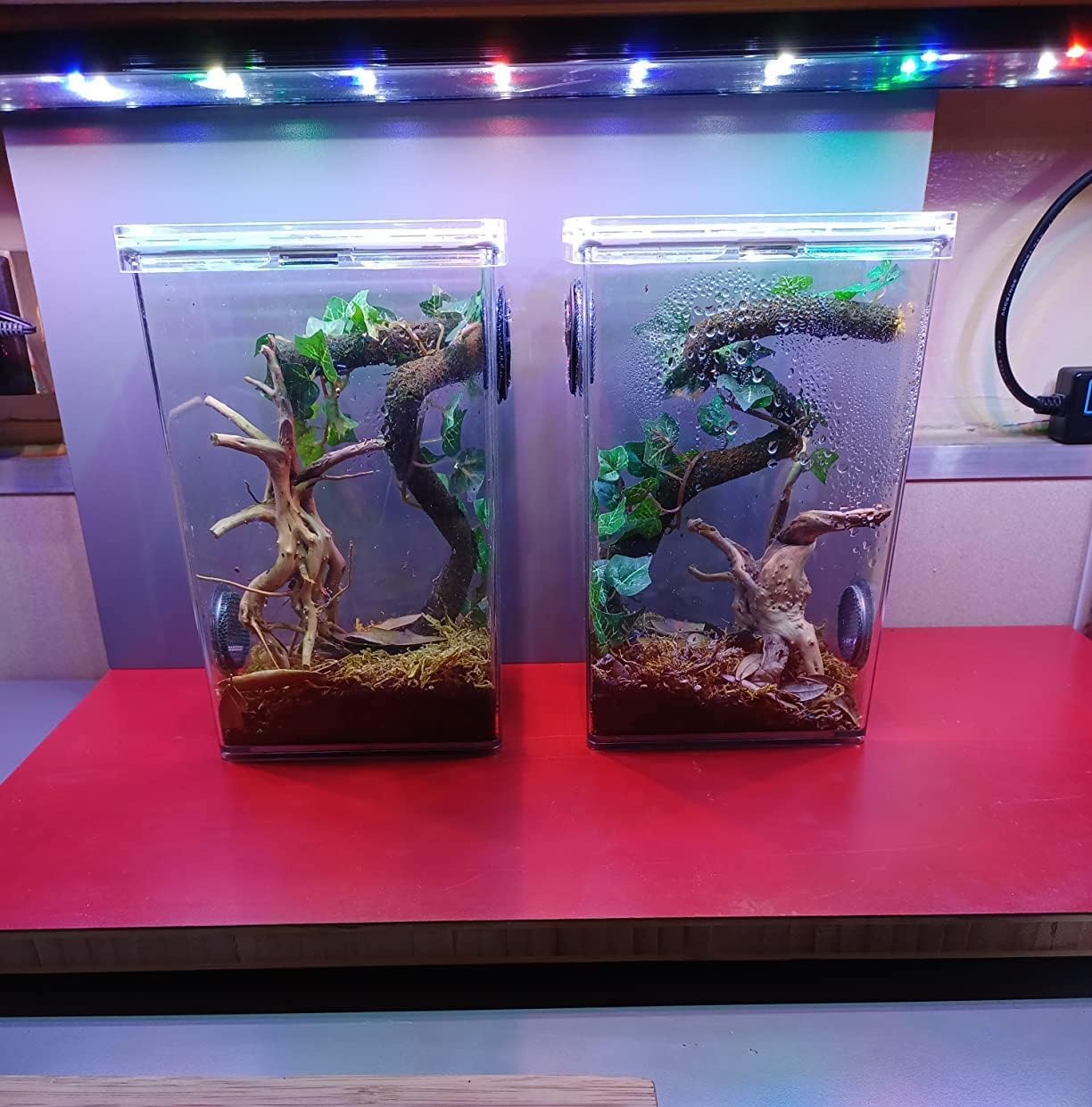 10pcs Natural Small Spiderwood Driftwood for Aquarium Decor Aquarium Driftwood Freshwater Reptile Driftwood Aquarium spiderwood (spiderwood 5-6inch 10pcs)