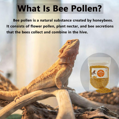 Pleasantly War Bee Pollen for Bearded Dragons and Amphibians, Natural Granules, Premium Grade, Digestive and Immune Support,8oz