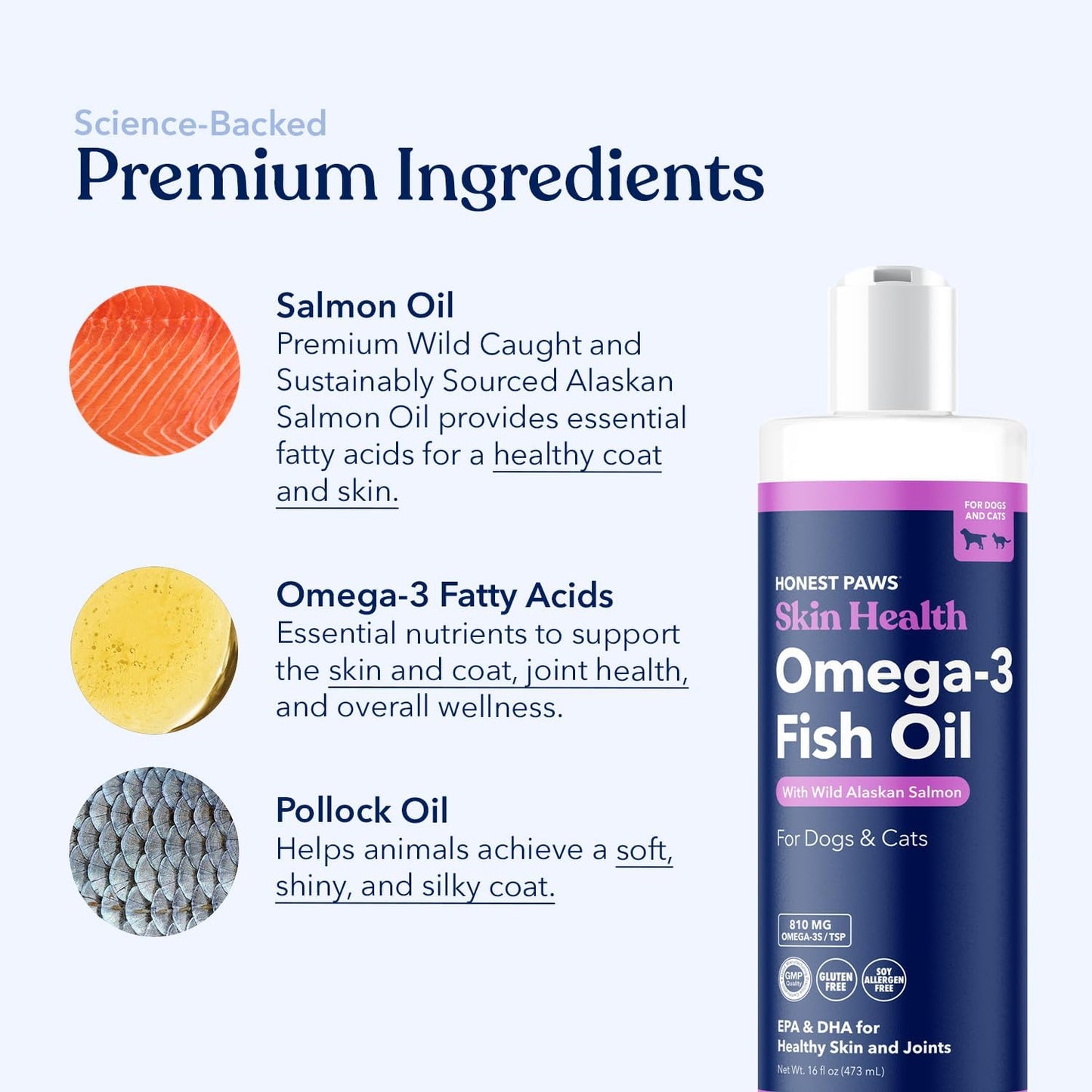 Honest Paws Salmon Oil for Dogs & Cats – Omega 3 Fish Oil Supplement for Skin, Coat, Joint & Heart Health – Natural, Sustainably Sourced Wild Alaskan Salmon, 16 oz