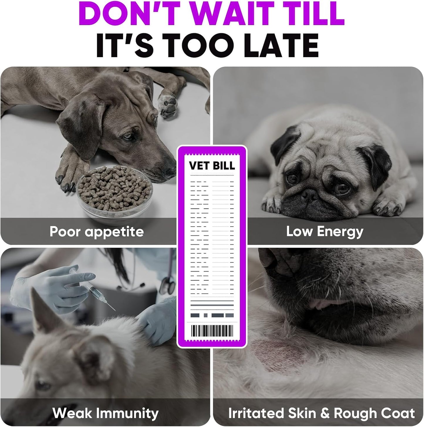 Dog Soft Chews – Joint Care, Skin & Coat, Gut Health, Immune Support