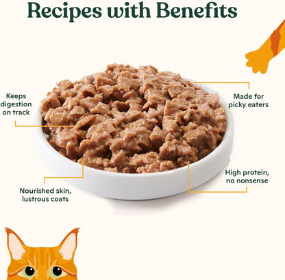 Made by Nacho Sustainably Caught Salmon & Sole Recipe with Bone Broth Minced Wet Cat Food, 5.5-oz can, Case of 24