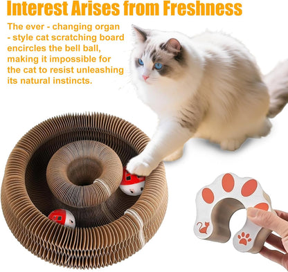 2-Pack Magic Organ Cat Scratching Board – Kitty Kurls Cat Scratcher Toy with Bell Balls for Indoor Cats, Interactive Cardboard Kitty Toy Scratcher, Furniture Protection