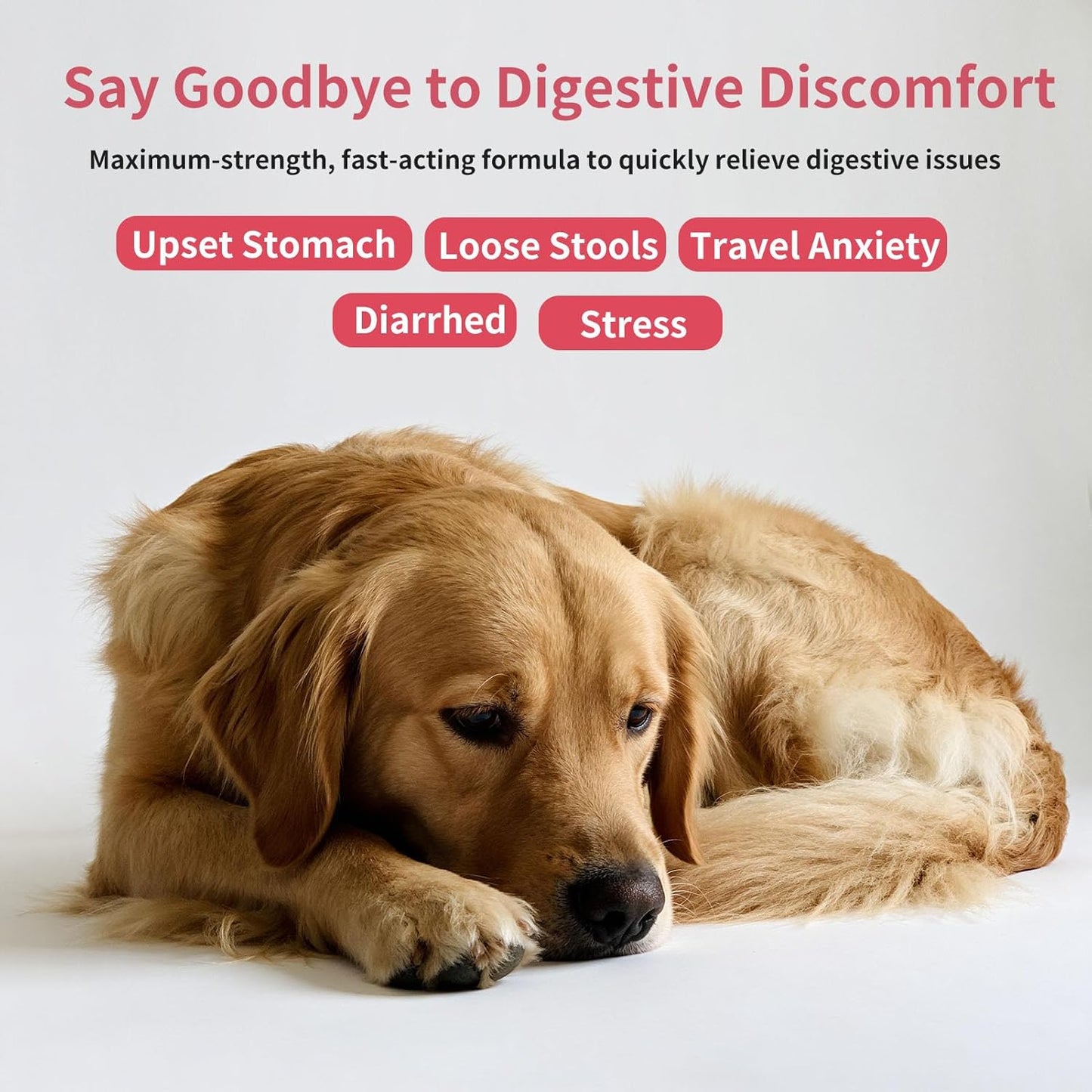 Antidiarrheal for Dogs Anti-Diarrhea for Cats Supplement - Kaolin & Pectin Probiotic Paste Fast-Acting Digestive Support - Puppy Probiotic Supports Firms Stool, Soothes Upset Stomach, Balances Gut pH