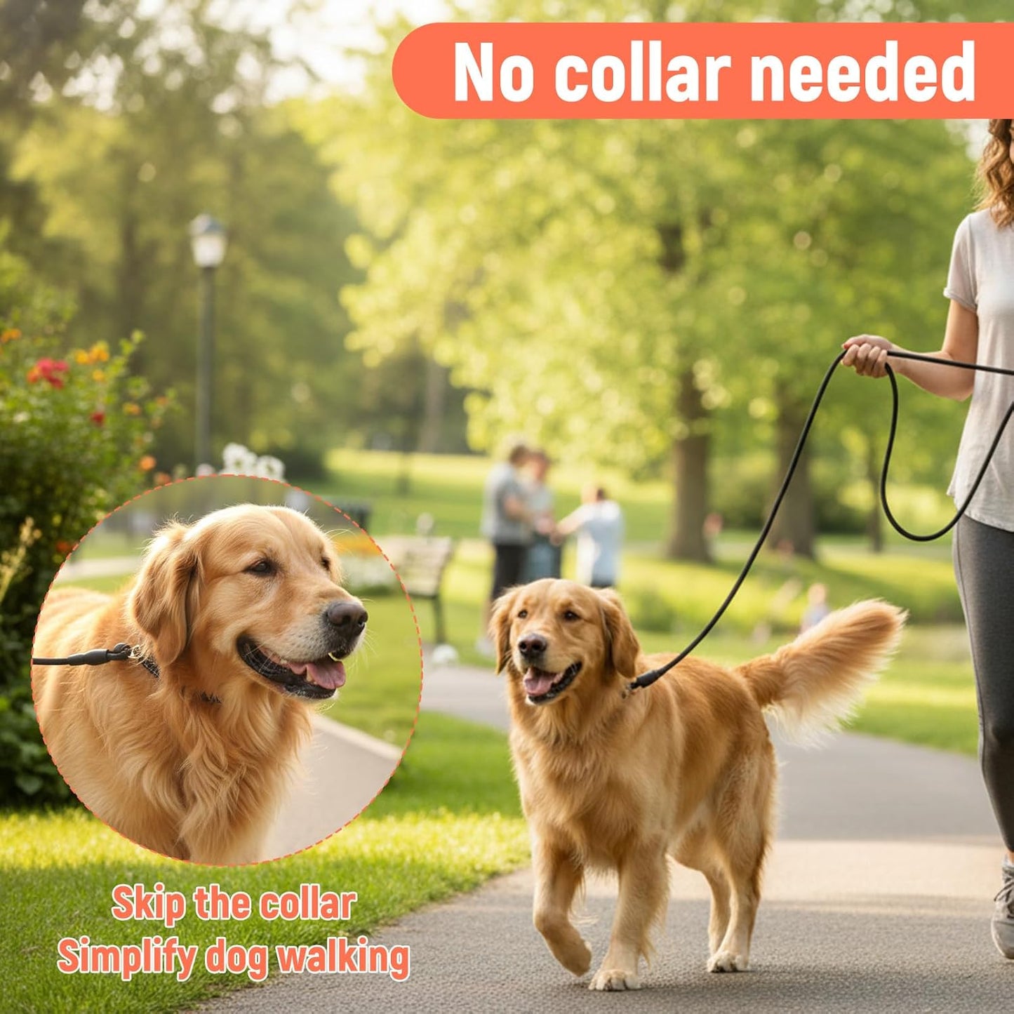 78 Inch Slip Lead Heavy Duty Dog Leash - No Pull Training Leash - Nylon Dog Slip Lead with Adjustable Loop for Small Medium Dogs