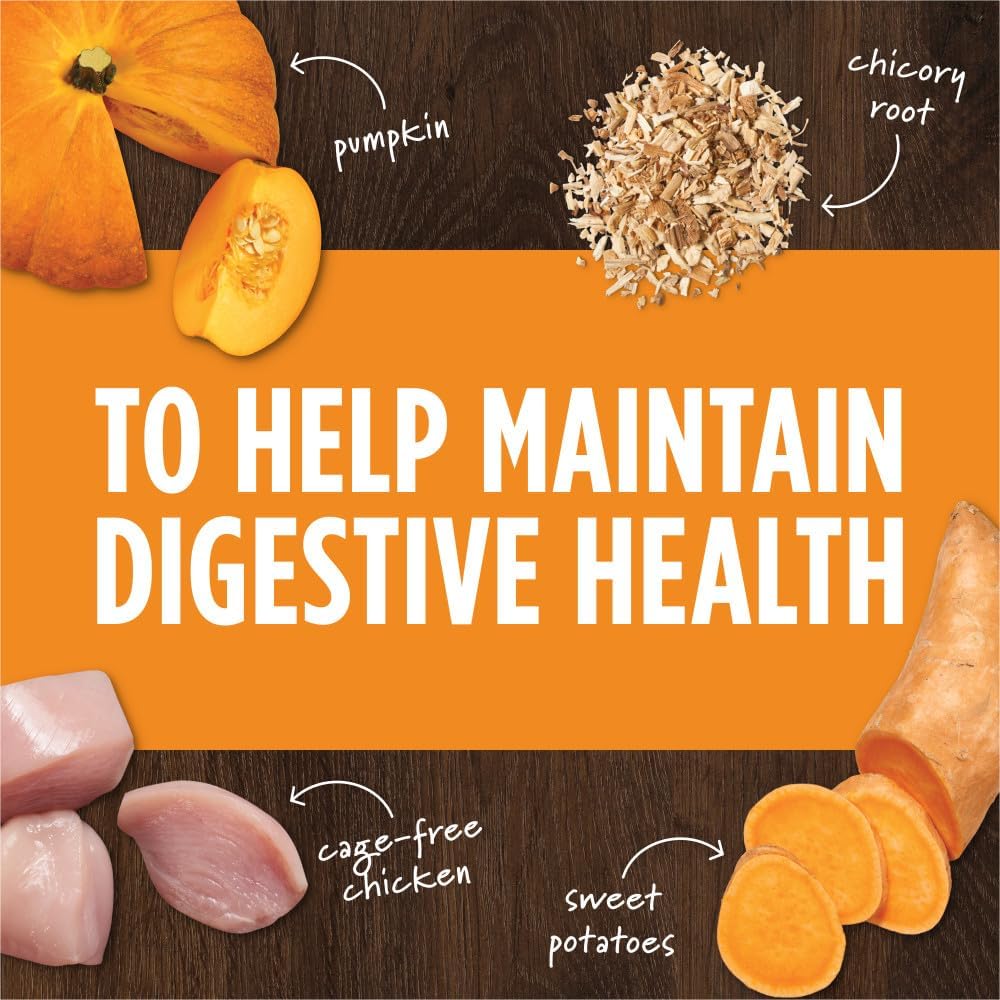 Instinct Raw Boost Mixers Freeze Dried Dog Food Toppers For Dry Food, Grain Free Dog Food Toppers with Chicken For Dogs - Gut Health, 12.5 oz