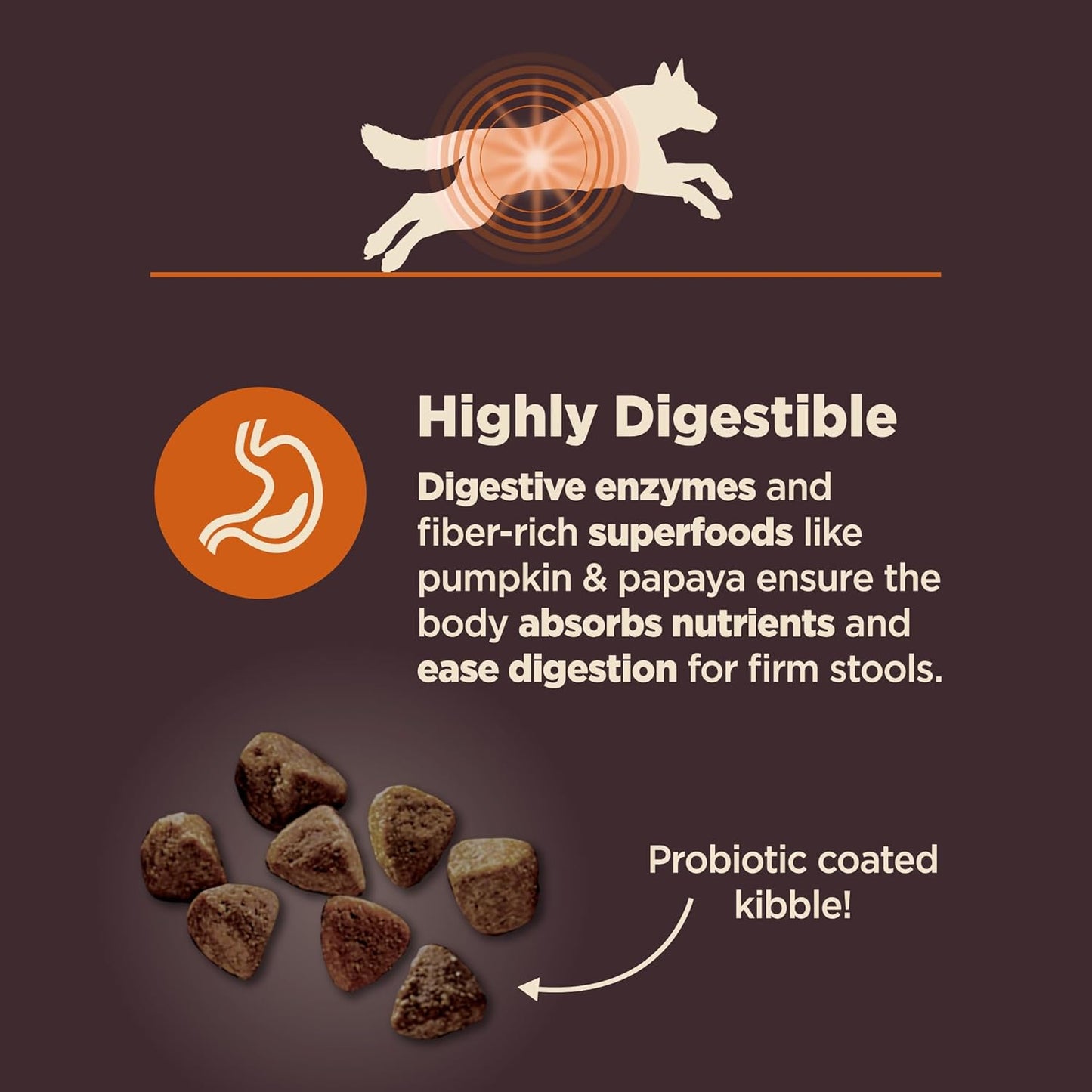 Wellness CORE Digestive Health Dry Dog Food, Wholesome Grains, Natural, Recipe for Dogs with Sensitive Stomachs, Chicken, (24-Pound Bag)