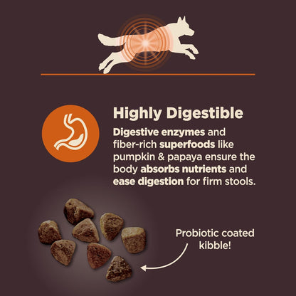 Wellness CORE Digestive Health Dry Dog Food, Wholesome Grains, Natural, Recipe for Dogs with Sensitive Stomachs, Chicken, (24-Pound Bag)