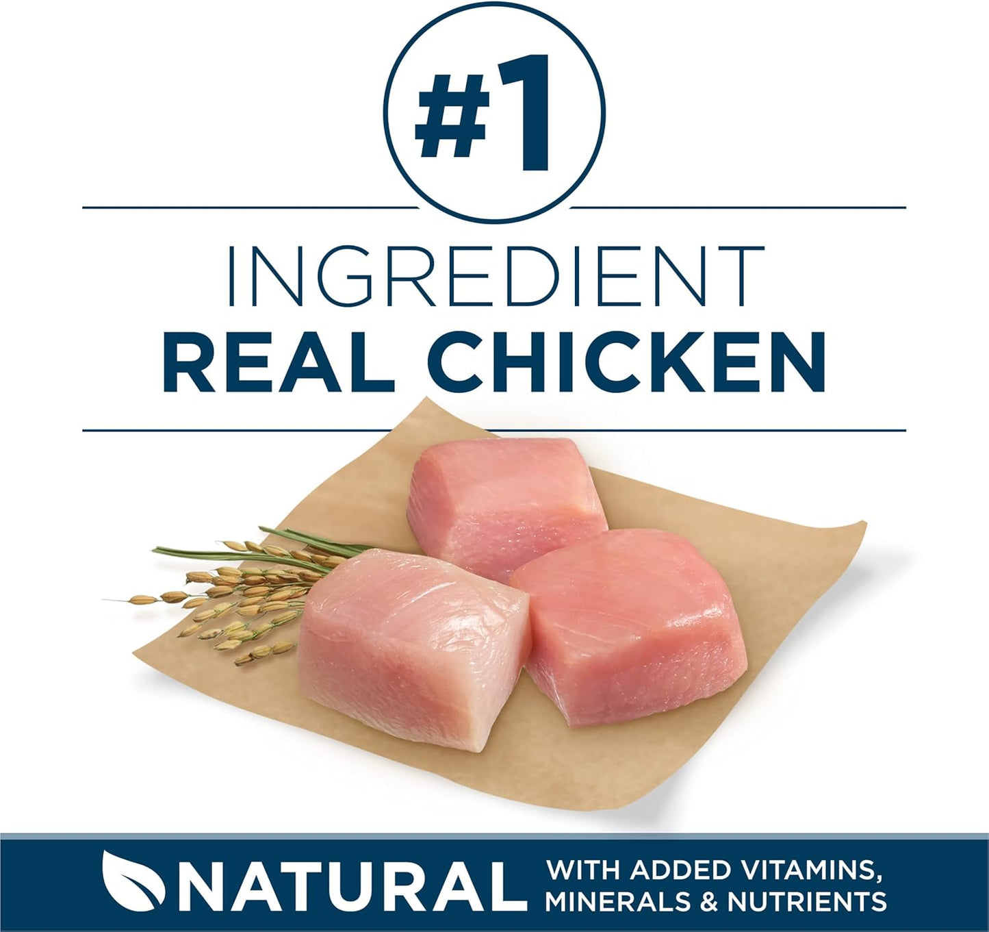 Purina One +Plus Dry Dog Food for Large Adult Dogs High Protein, Real Chicken - 31.1 lb Bag