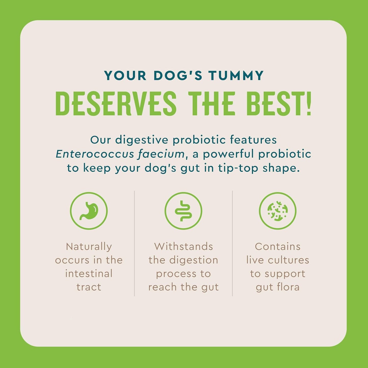 VetIQ Probiotic Powder for Dogs, Treats Diarrhea, Digestive Issues, Food Sensitivity, Chicken Flavored, Single-Serve Packets, 30 Count