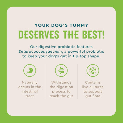 VetIQ Probiotic Powder for Dogs, Treats Diarrhea, Digestive Issues, Food Sensitivity, Chicken Flavored, Single-Serve Packets, 30 Count