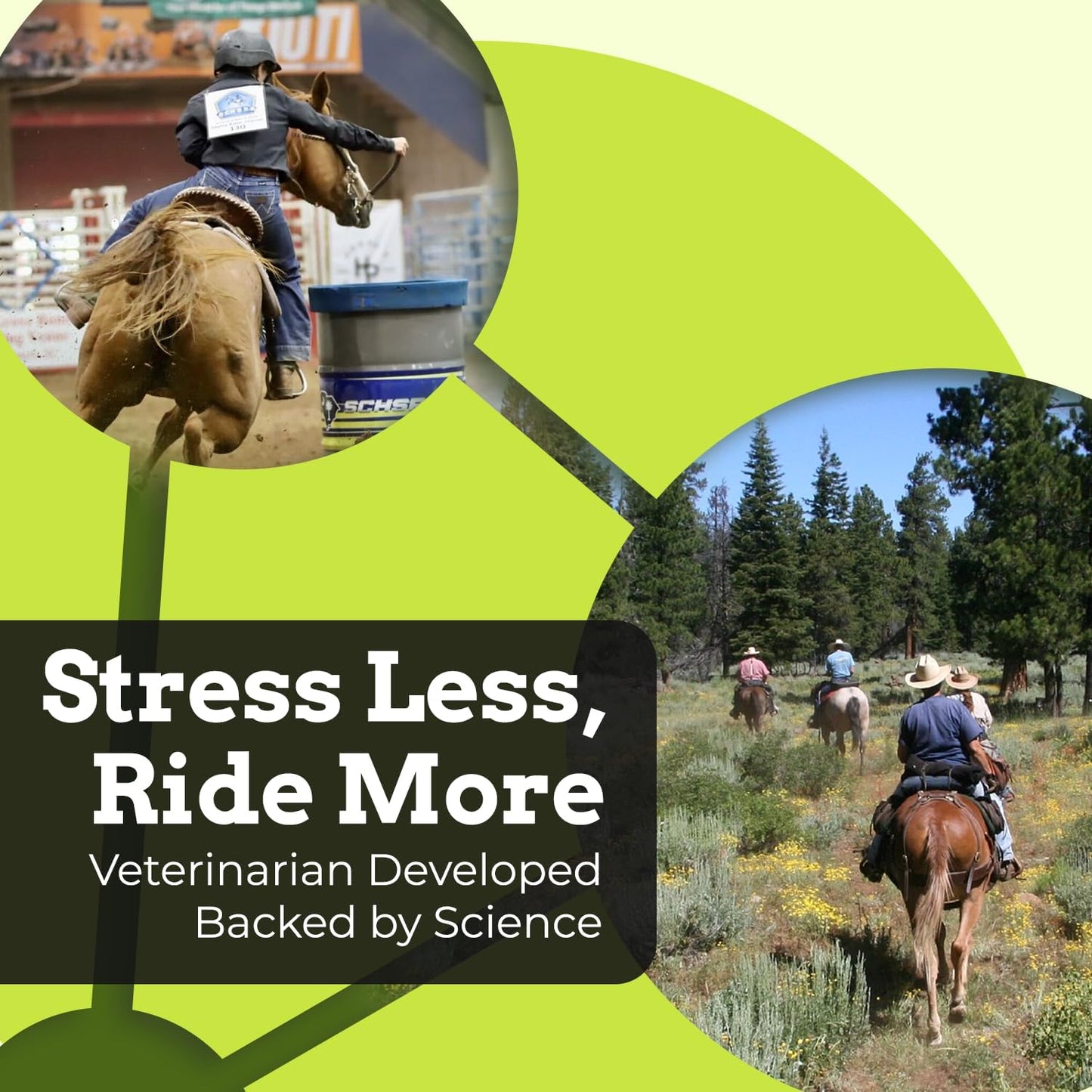 SynChill Oral Horse Calming Gel, 100% Natural & Nutritional Supplement, Lab Proven Results, Designed for Focus & Performance, Approved by Olympic Professionals & Veterinarians, Made in USA - 2 Pack