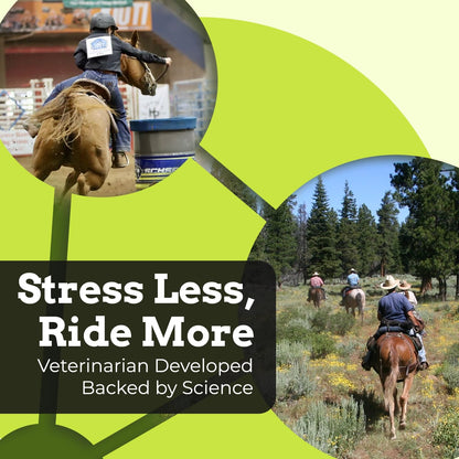 SynChill Oral Horse Calming Gel, 100% Natural & Nutritional Supplement, Lab Proven Results, Designed for Focus & Performance, Approved by Olympic Professionals & Veterinarians, Made in USA - 2 Pack