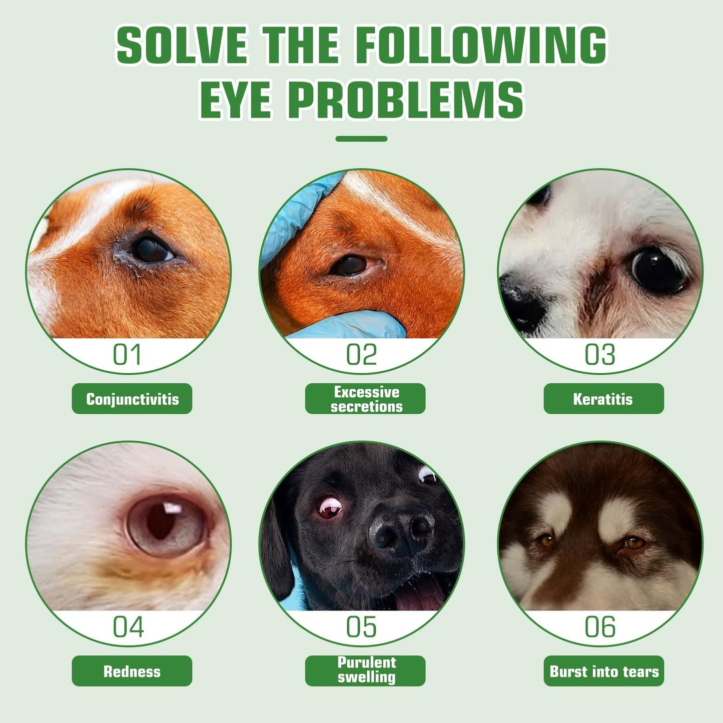 BrennenstuhlCataract Drops for Dogs - Pet Dog Eye Drops for Relieving Eye Itching and Clean Tear Stains - Removing Eye Stains - Improving Clarity - All Natural Pet Eye Health Care (2 X 10 ml)