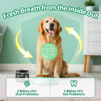 Dog Dental Powder – Teeth Cleaning Powder with 6B CFU Probiotics, Enzymes & Antioxidants, Plaque & Tartar Off, Fresh Breath Support, No Brushing Oral Care, Mint Beef Flavor, 75 Servings