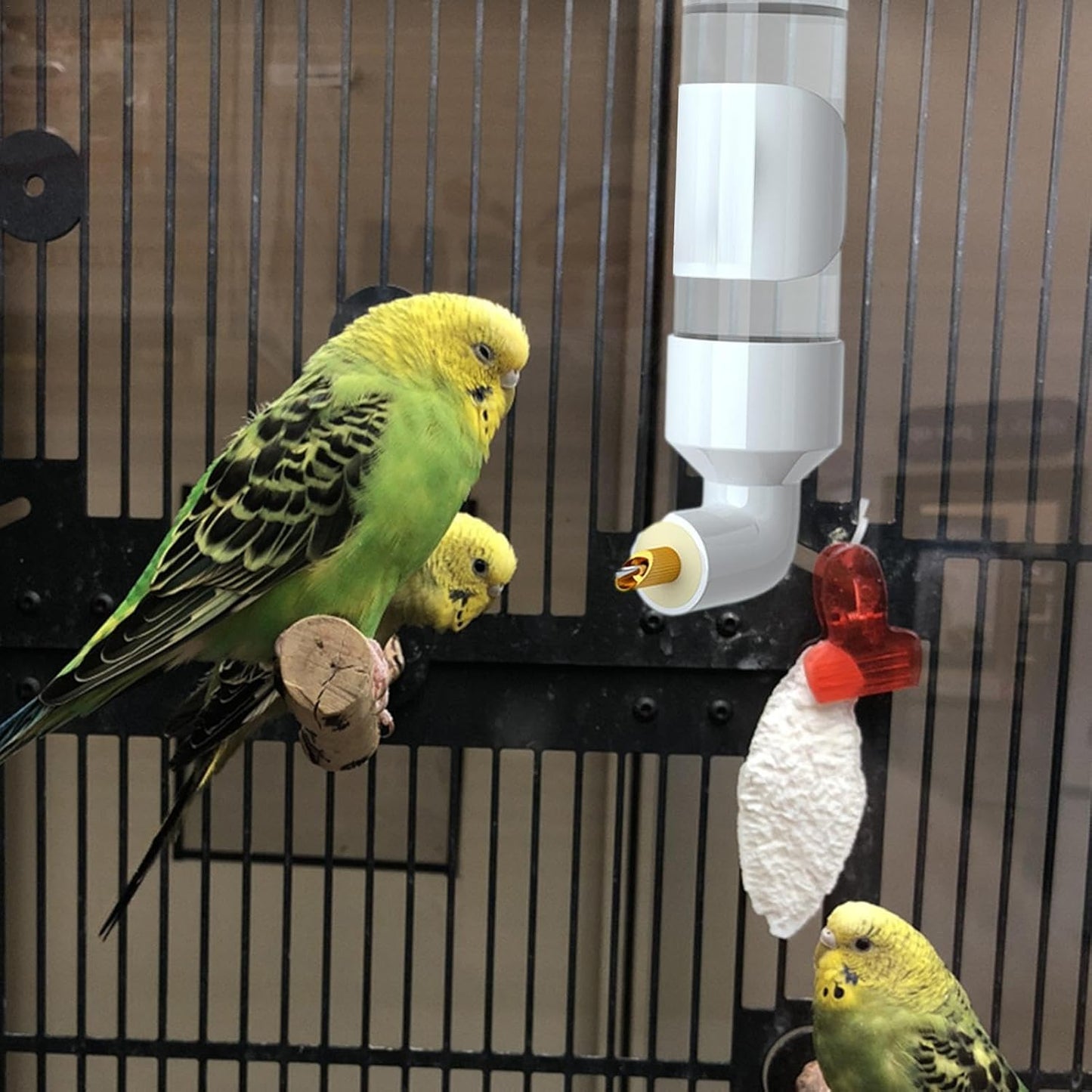 Automatic Bird Drinker, Automatic Water Bottle for Parakeets for Pets - Bird Water Feeder - Automatic Hanging Bird Cage Water Dispenser