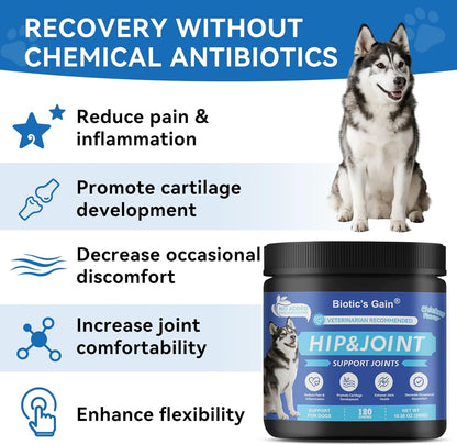 Biotic's Gain - Dog Multivitamins, 25 in 1 Complete Care, 120 Soft Chews, Chicken Flavour (120, Hip & Joint Care)