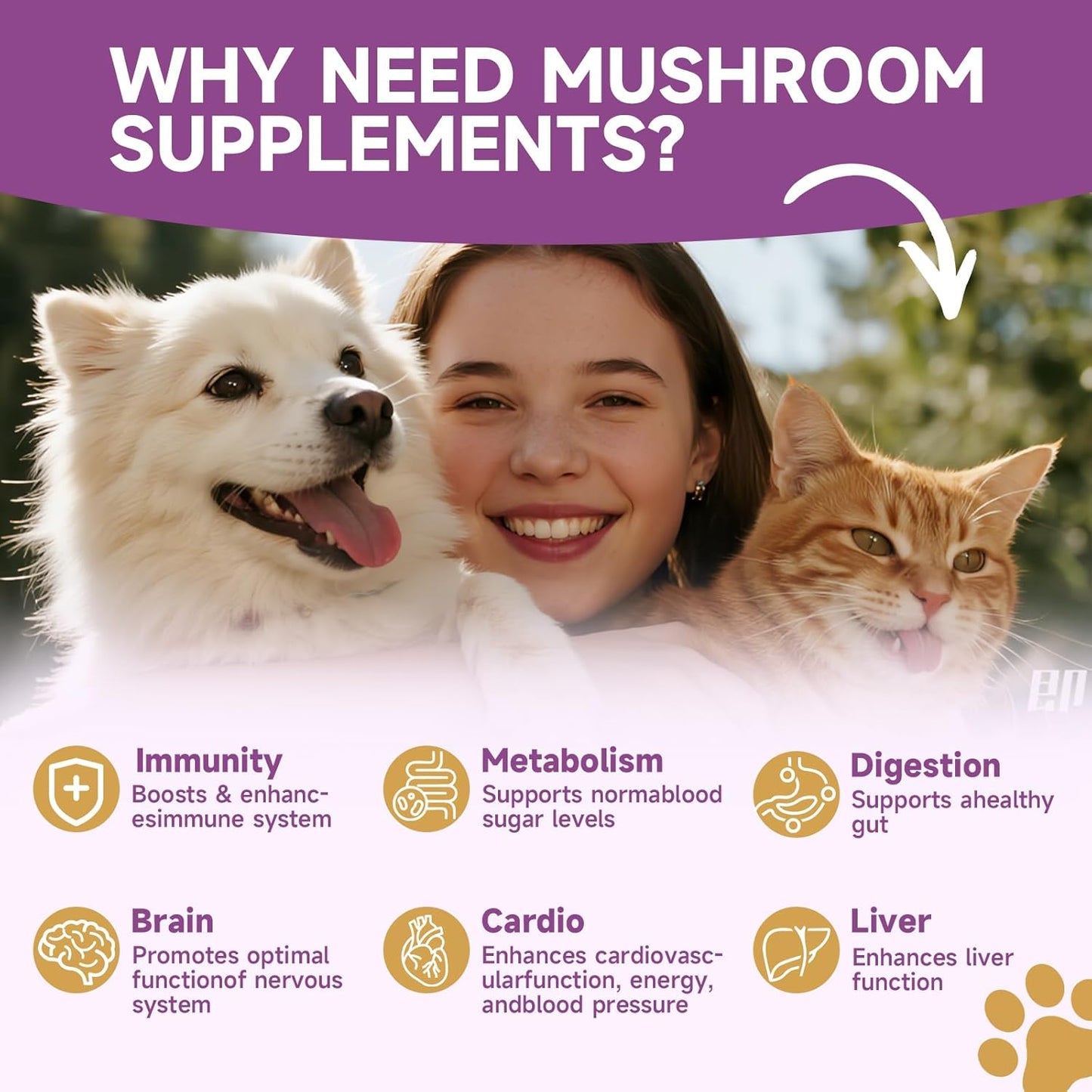 Mushroom for Dogs & Cats, Support Immune System, Digestion, Skin & Coat, Cat Hairball Remedy - Kitten Furball Treatment