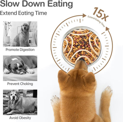 2 Pcs Slow Feeder Insert for Dog Bowl, Anti-Choking Silicone with Strong Suction Cups, Fits Most Dog Bowls, Ideal for Medium, Large Breeds (Green+Pink)