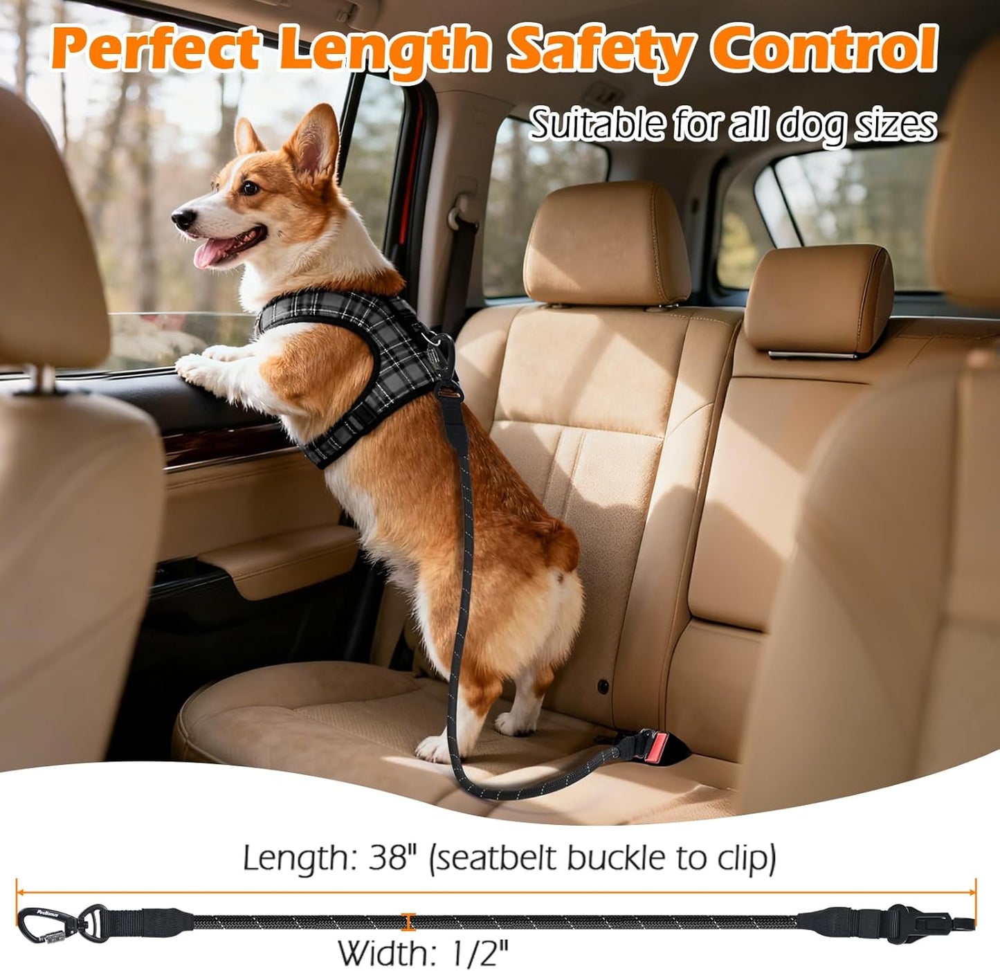 PetBonus No Tangle Double Dog Leash and Dog Seat Belt for Car