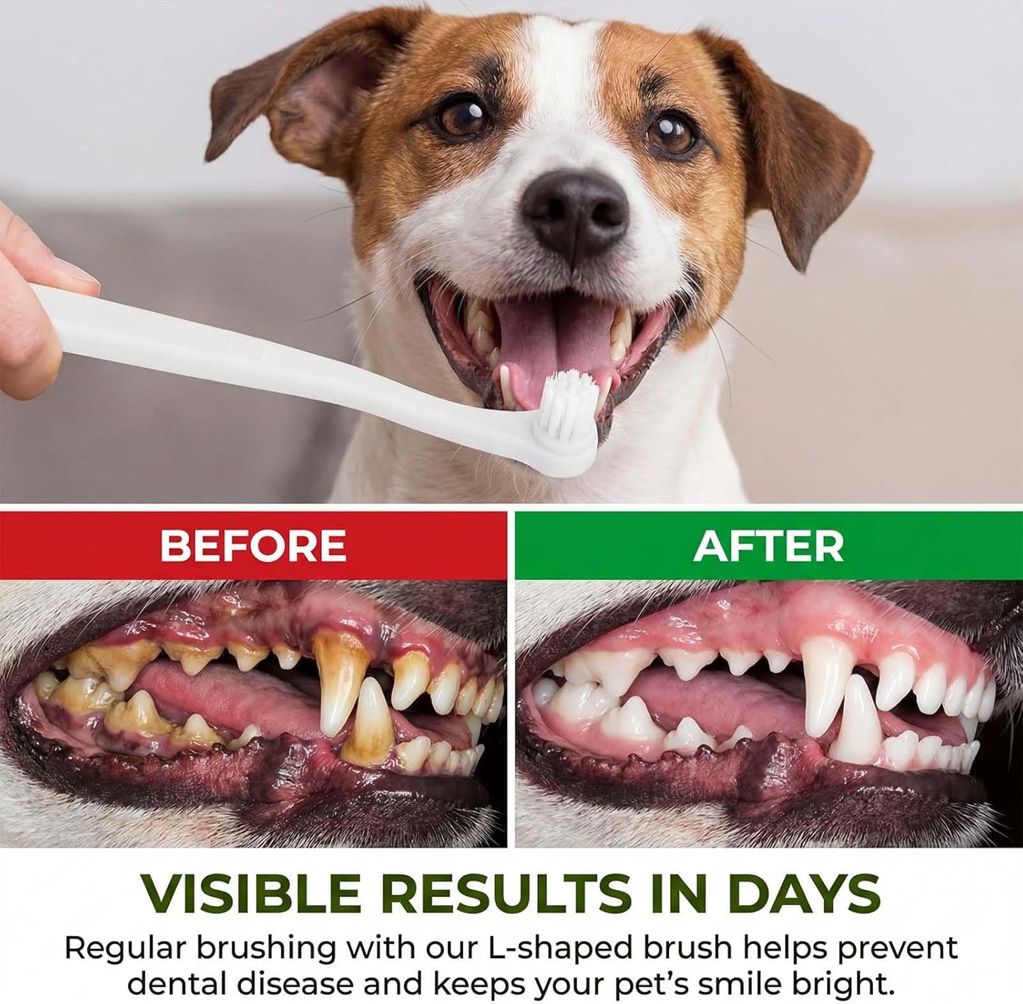 6 Pcs Puppy Tooth Brushing Kit, Small Dog and Cat Toothbrush Kit Mini Head Soft Nylon Bristles Portable Pet Tooth Brush Travel-Friendly Puppy Dog Toothbrush Deep Clean for Small Dogs Cats