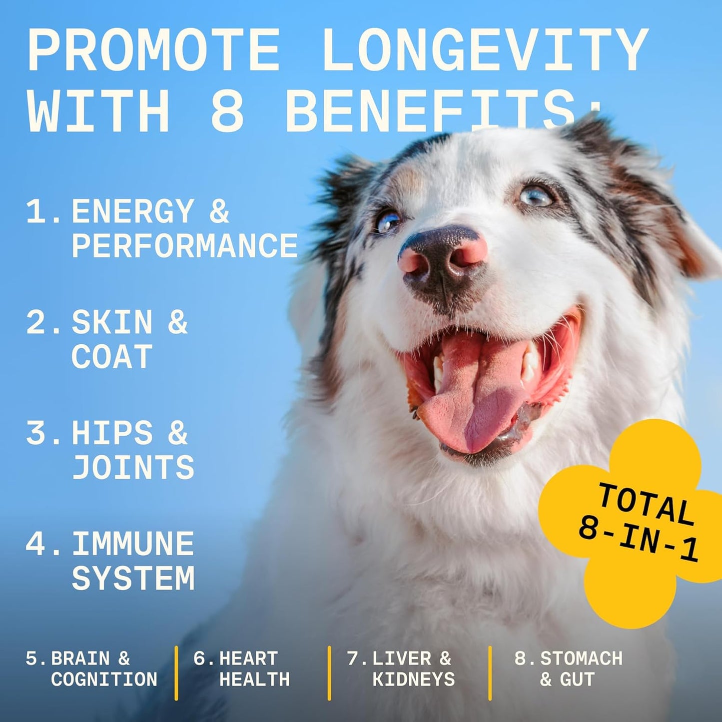8-in-1 Dog Multivitamin – 100% Natural Supplement Powder with Colostrum for Healthy Skin, Joints & Energy – Crafted by Dog Nutritionist Kayla Kowalski, Made in USA – 30 Scoops