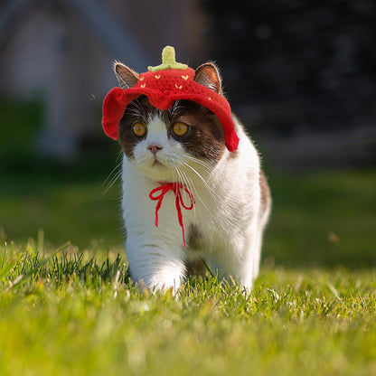 Strawberry Cat Hat, Cotton & Soft Cute Knitted Hats for Cats Birthday Party Christmas Puppy Hat for Small Pets (Red, M)