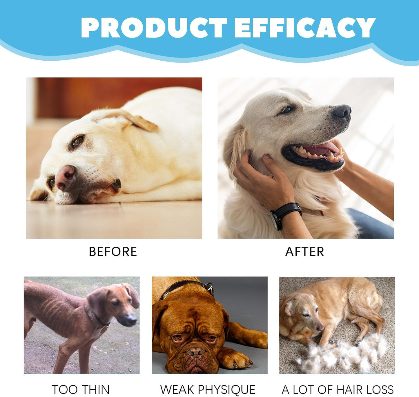 Cough Herbal Drops for Dogs & Cats, 60ML Natural Dog Supplement, Herbal Cough Drops for All Breeds & Sizes, Soothing Supplement for Dogs, Soothing Dog Cough