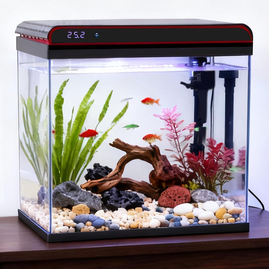 Coospider 10 Gallon Glass Fish Tank, Aquarium Starter Kit, Self-Cleaning Aquarium with 3-Color LED Lights, Quiet Filter Pump, Temperature Monitoring for Fish, Shrimp, Kids Gift Idea