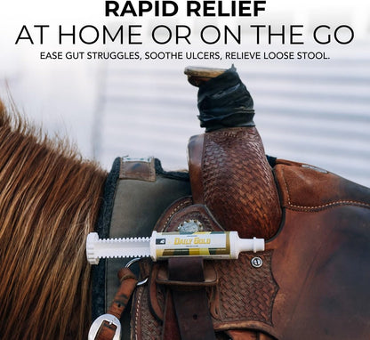 REDMOND Daily Gold Syringe Natural Healing Clay for Gastric Ulcers in Horses (Stress Relief Pre-Race Paste) (Single Pack)