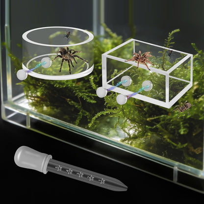 Windspeed 2+1P 1.8 in Mini Jumping Spider Feeding Dish Magnet Tarantula Water Bowl for Spider Feeder Water Dish for Tarantula Tank Enclosure Accessories, with A Dropper