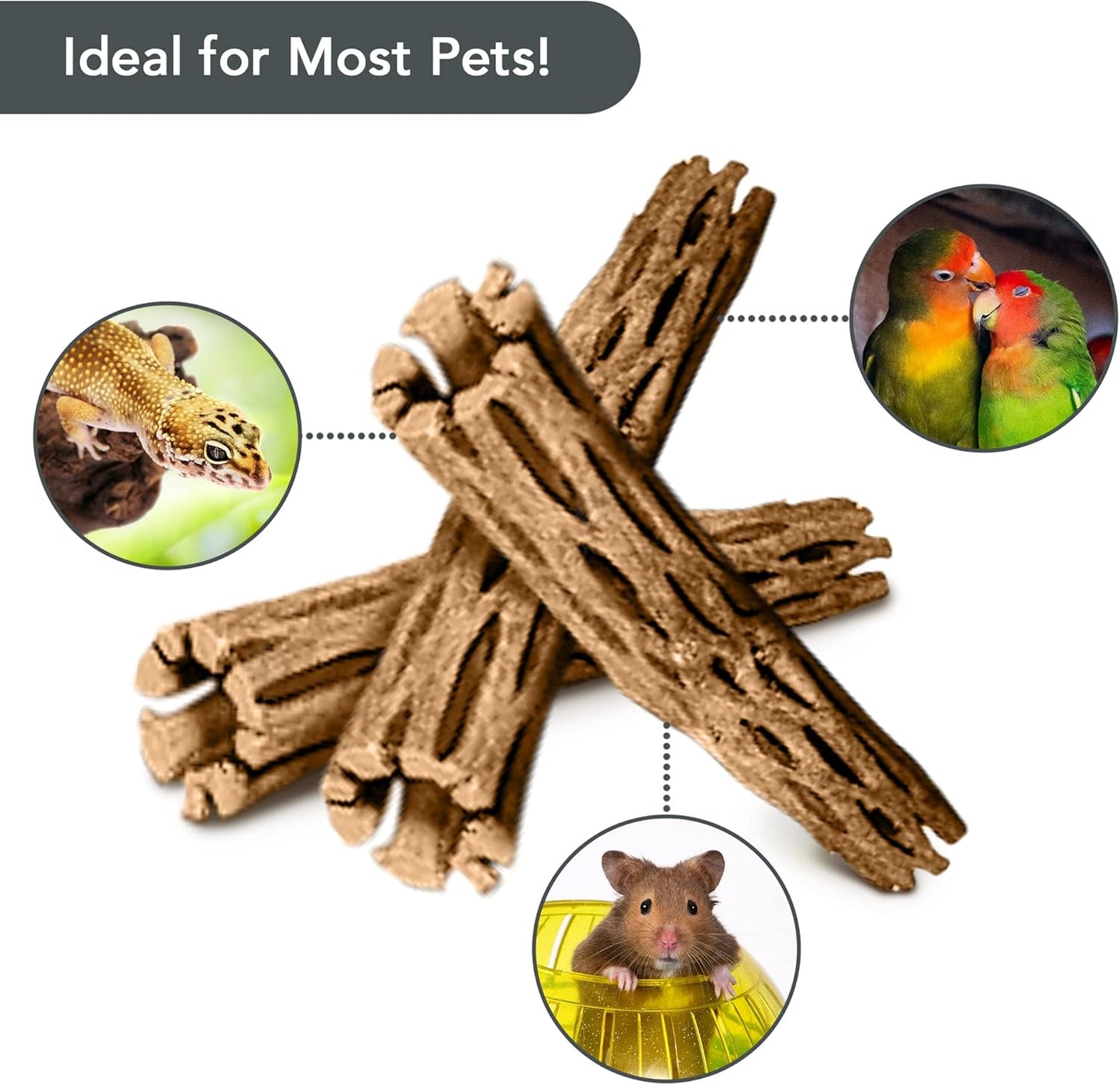 SunGrow Cholla Wood, 6” Climbing Logs, Chew Toy, Aquarium Fish, Snail, and Shrimp Driftwood, Tropical Freshwater Fish Décor, Adds Raw Beauty, 3 Pack