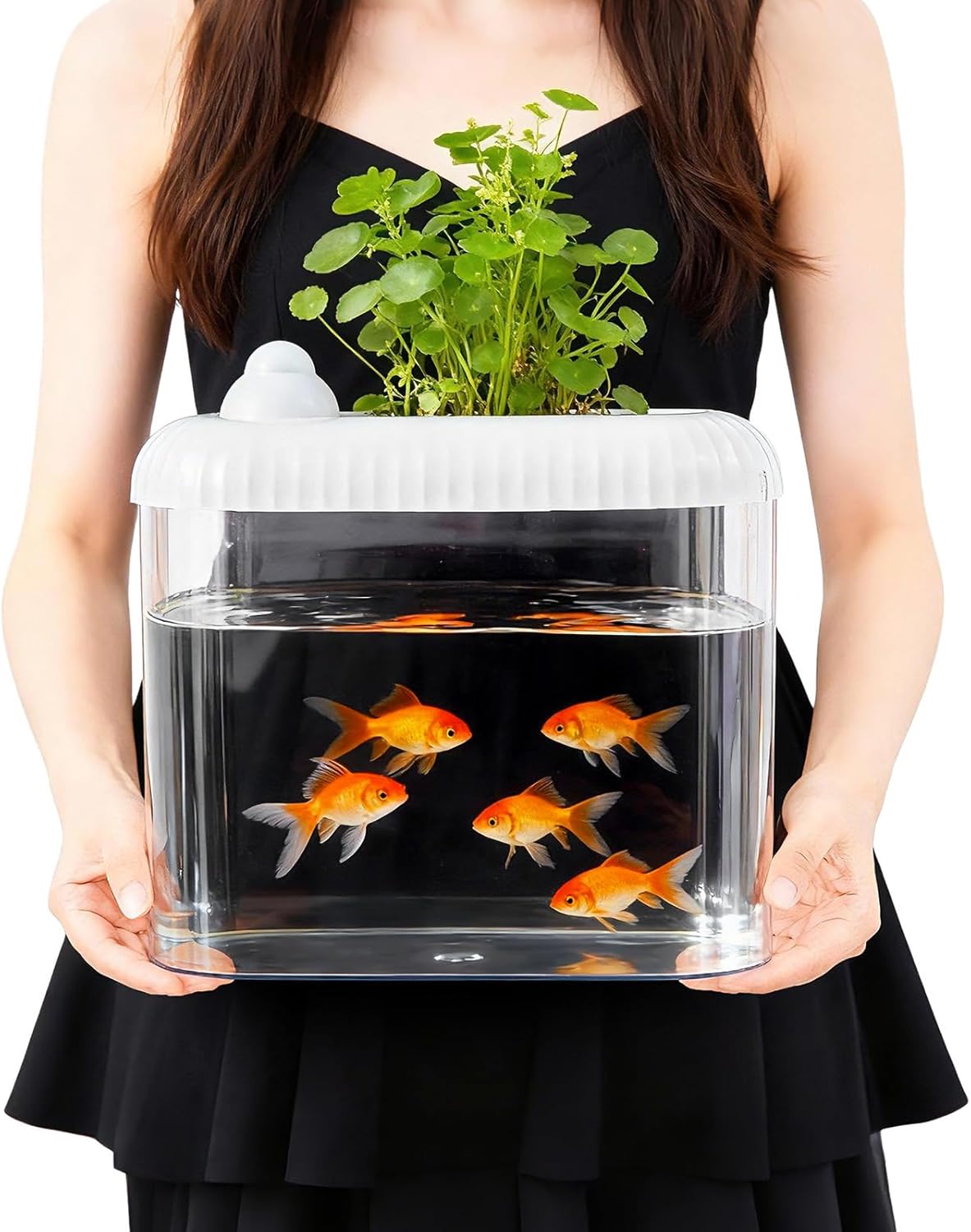 2.5 Gallon Plastic Aquaponic Fish Tank Large Bowl Shatterproof with Clear Clarity for Terrarium, Flower Vase Centerpiece GIF