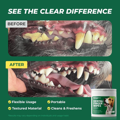 Larger Size Pet Dental Finger Wipes for Dogs & Cats – Rinse-Free Oral Care, Helps Reduce Plaque & Tartar, Freshens Breath, Disposable Finger Wraps for Gentle Gum Cleaning, 50 Count