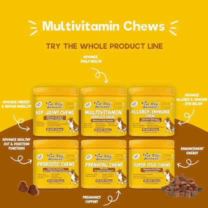Daily Multivitamin for Dogs – Glucosamine Chondroitin, Probiotics & Omega Fish Oil – Supports Hip & Joint, Skin, Coat, Allergy & Immune Health – Vet Approved Chicken Chews, 90 Count